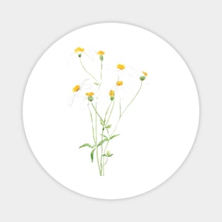 white black jack flowers 2 Magnet